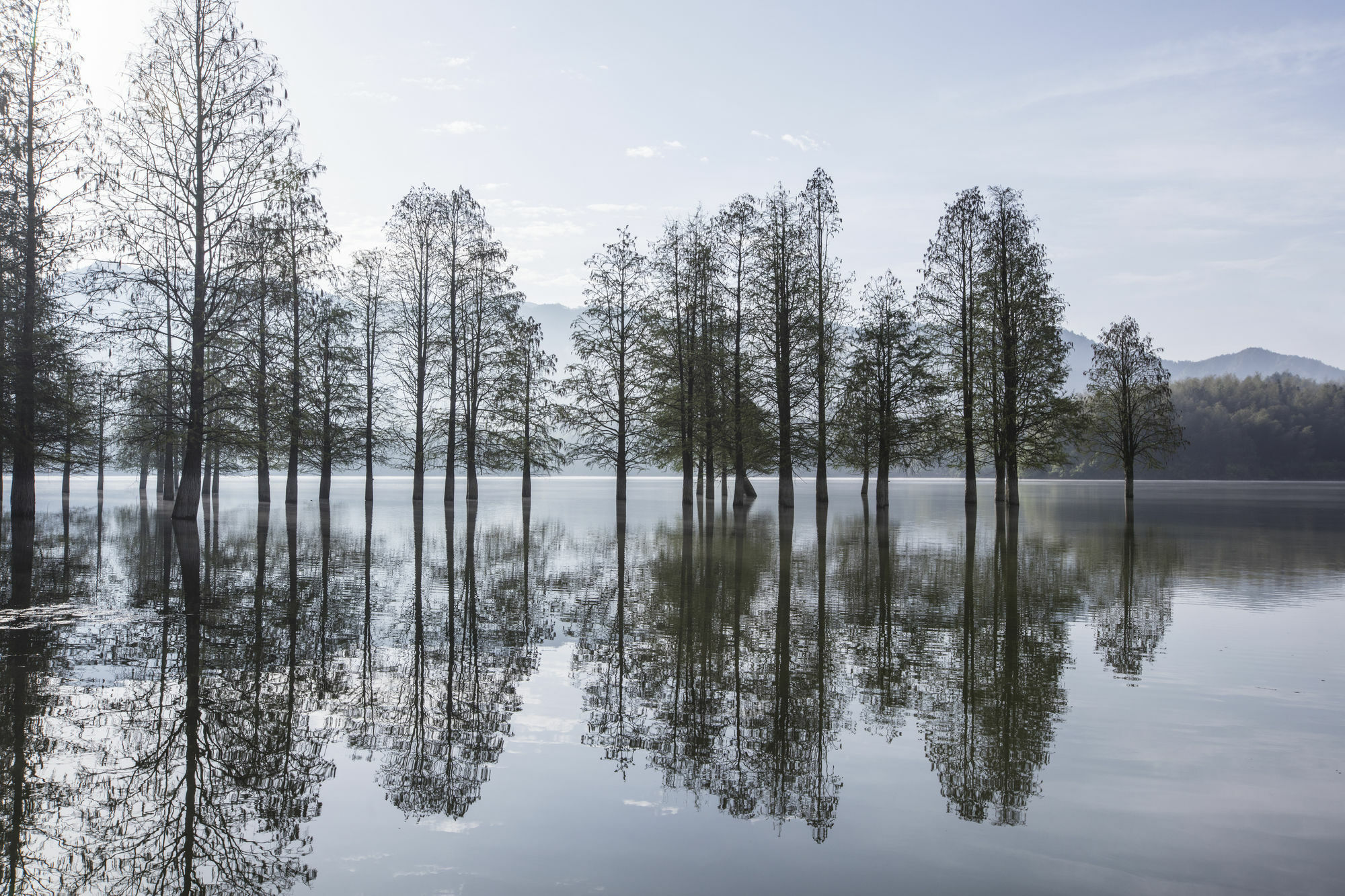 Banyan Tree Hotel Huangshan-The Ancient Charm Of Huizhou, A Paradise Екстериор снимка